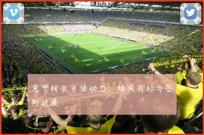 意甲转会市场动态:绯闻目标与签约进展