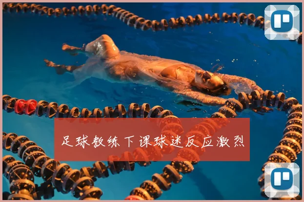 足球教练下课球迷反应激烈