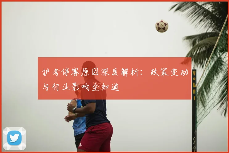 护考停赛原因深度解析:政策变动与行业影响全知道