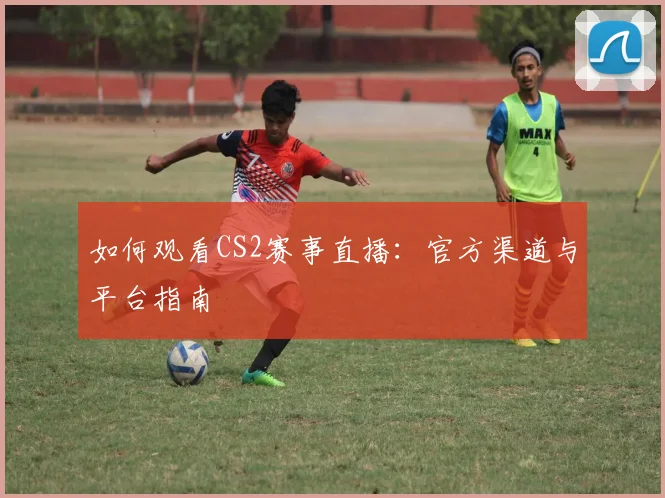 如何观看CS2赛事直播:官方渠道与平台指南