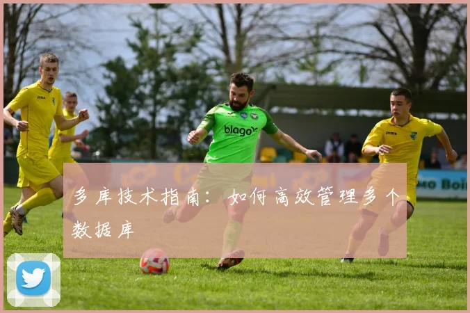 多库技术指南：如何高效管理多个数据库