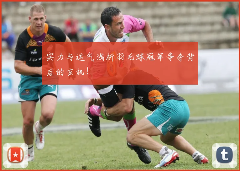 实力与运气浅析羽毛球冠军争夺背后的玄机！