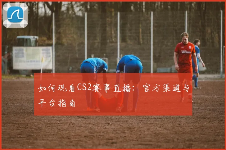 如何观看CS2赛事直播：官方渠道与平台指南